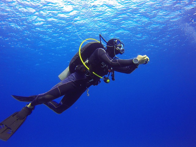 Diver Underwater